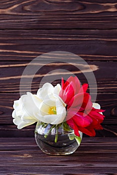 Bouquet of white and red tulips on dark wooden board background. Holiday gift card, celebration frame. Mockup with flowers. Copy