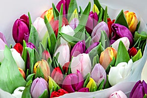 Bouquet of white, red, yellow, purple, violet tulips