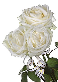 Bouquet of white roses