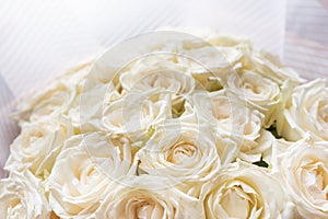 Bouquet of white roses