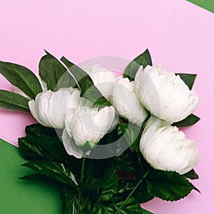 Bouquet of white roses on pink minimal art design