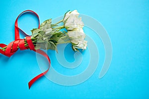 Bouquet of white roses with red bow on blue background