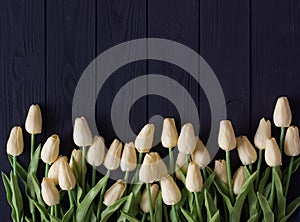 A bouquet of white tulips, on a black wooden background, flat lei, top view copy space.