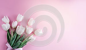 Bouquet of white tulips flowers on pink background. Card for Mothers day, 8 March, Happy Easter. Waiting for spring