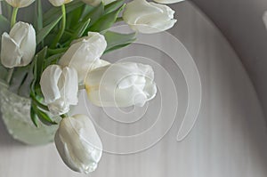 A bouquet of white tulips in a glass vase at home