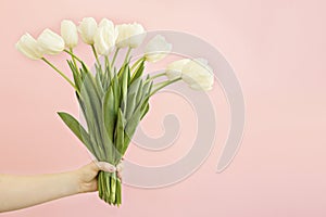 bouquet of white tulips in hand flowers on a pink background