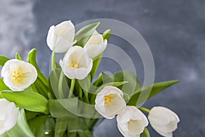 Bouquet of white tulips in a vase on a gray background. Flowers as a gift for your favorite person. Copy spce