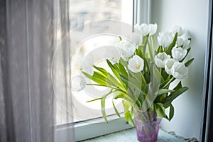 bouquet of white tulips on the window