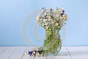 Bouquet of white wildflowers in a glass vase. Stellaria holostea photo