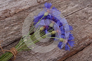 Bouquet of wild cornflowers photo