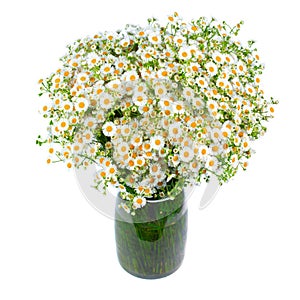 Bouquet of wild daisies in a glass vase.