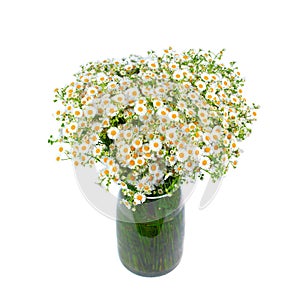 Bouquet of wild daisies in a glass vase.