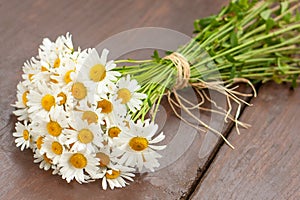 A bouquet of wild daisy flowers