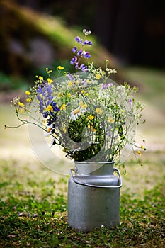 Bouquet of wild flowers