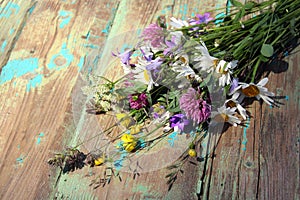 A bouquet of wild flowers collected on a summer day