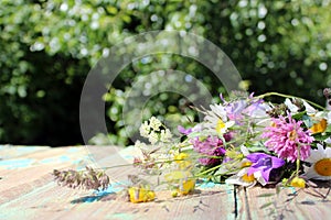 A bouquet of wild flowers collected on a summer day