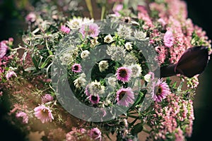 Bouquet of wild flowers on a dark background