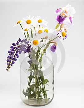 Bouquet of wild flowers in a glass vase on a white background