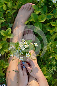 A bouquet of wild flowers in the hands of a girl on the grass on a sunny calm summer day. Bare feet and enjoyment