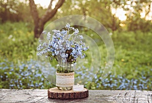 Bouquet of wild flowers Myosotis also known as Forget me not s or scorpion grasses in lace burlap cloth decorated baby food jar.