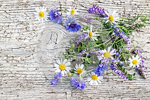 Bouquet of wild flowers on the old wooden background