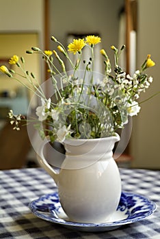 Bouquet of wild flowers in a Pitcher