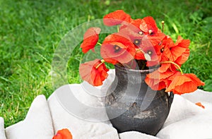 Bouquet of wild flowers of red poppies in an old clay jug. Summer photo, rustic style, close-up