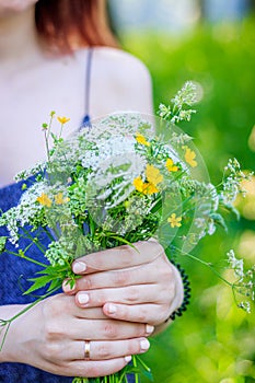 A bouquet of wild flowers in women`s hands . Bouquet of wildflowers. Soft female hands. Article about collecting flowers. Yellow