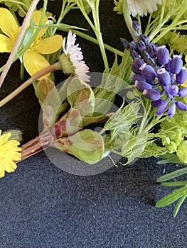 A bouquet of wild flowers yellow, white, purple, blue on a gray-black background spring flowers photo