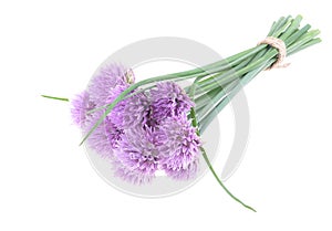 Bouquet of wild onions - Allium schoenoprasum, on an isolated white background. Concept for healthy organic