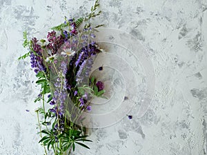 Bouquet of wild purple flowers on light grey background. View from above. Space for text. Mock up