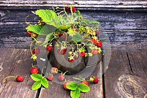Bouquet of wild strawberries on rustic weathered wood background