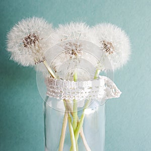 Bouquet of wild white dandelion flowers on a green background.