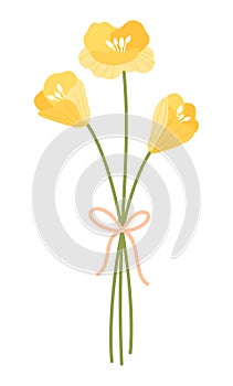 Bouquet with wildflower yellow poppies. Delicate flower, meadow wild plant