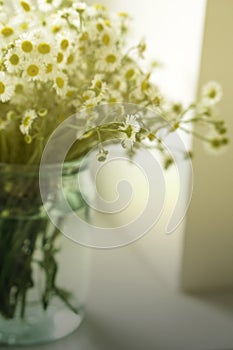 A bouquet of wildflowers camomiles in a glass jar on a table by the window. Vintage tone
