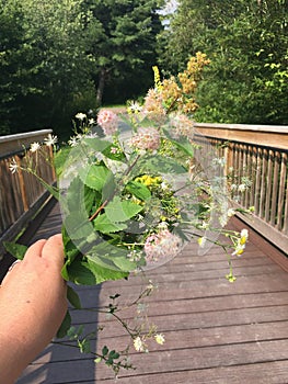 Bouquet of wildflowers in hand on a bridge and path.