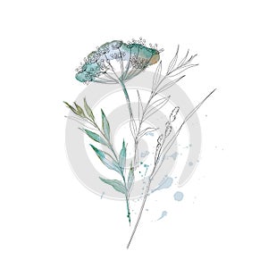 bouquet of wildflowers and herbs sketch