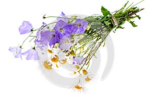 Bouquet of wildflowers on white background photo