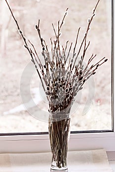 Bouquet of willow branches in a vase on the windowsill