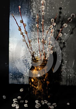 A bouquet of willow with flowers in a dark vase on a dark background