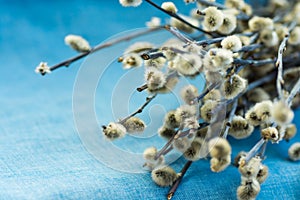 Bouquet of willow twigs branches on light blue background, sunlight, spring, easter concept, copyspace