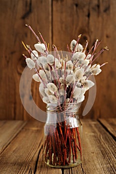 Bouquet of willow twigs in glass jar on wooden background