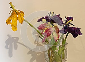 Bouquet of wilted flowers in a glass vase