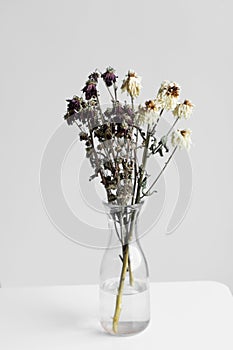 Bouquet of wilted flowers on a white background