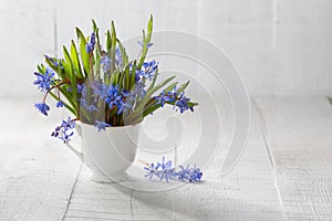 Bouquet of wood squill flowers photo