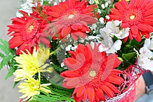 Bouquet of yellow chrysanthemums, red gerbera