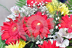 Bouquet of yellow chrysanthemums, red gerbera