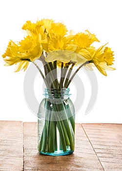 Bouquet of yellow daffodil flowers in a jar