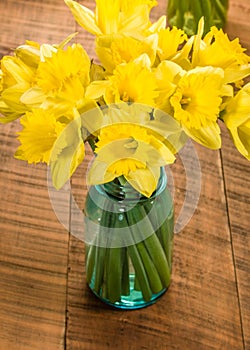 Bouquet of yellow daffodil flowers in a jar