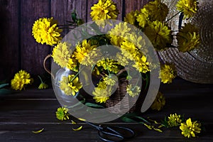 Bouquet of yellow dahlia flowers in wicker vase container on dark wooden background, still life with yellow dahlia flowers